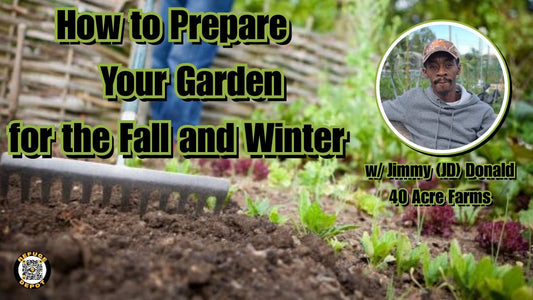 How to Prepare Your Garden for the Fall and Winter w/ Jimmy JD Donald