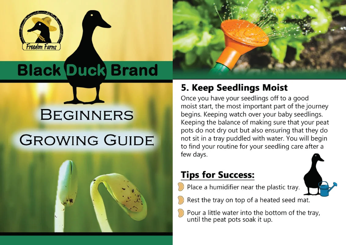 Set of 40 Heirloom Vegetable Garden Seeds - Heirloom Vegetable Garden Seeds - 100% Non-Gmo! - May Be Assorted