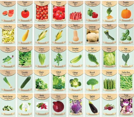 Set of 40 Heirloom Vegetable Garden Seeds - Heirloom Vegetable Garden Seeds - 100% Non-Gmo! - May Be Assorted