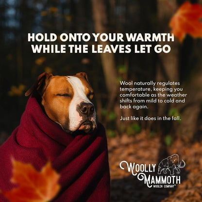 Camping Wool Blanket - 66 in X 90 in Black & Cream Plaid - Heavyweight Merino Wool Outdoor Throw Blanket & Bedroll - Insulating Warm for Winter, Picnic & Travel