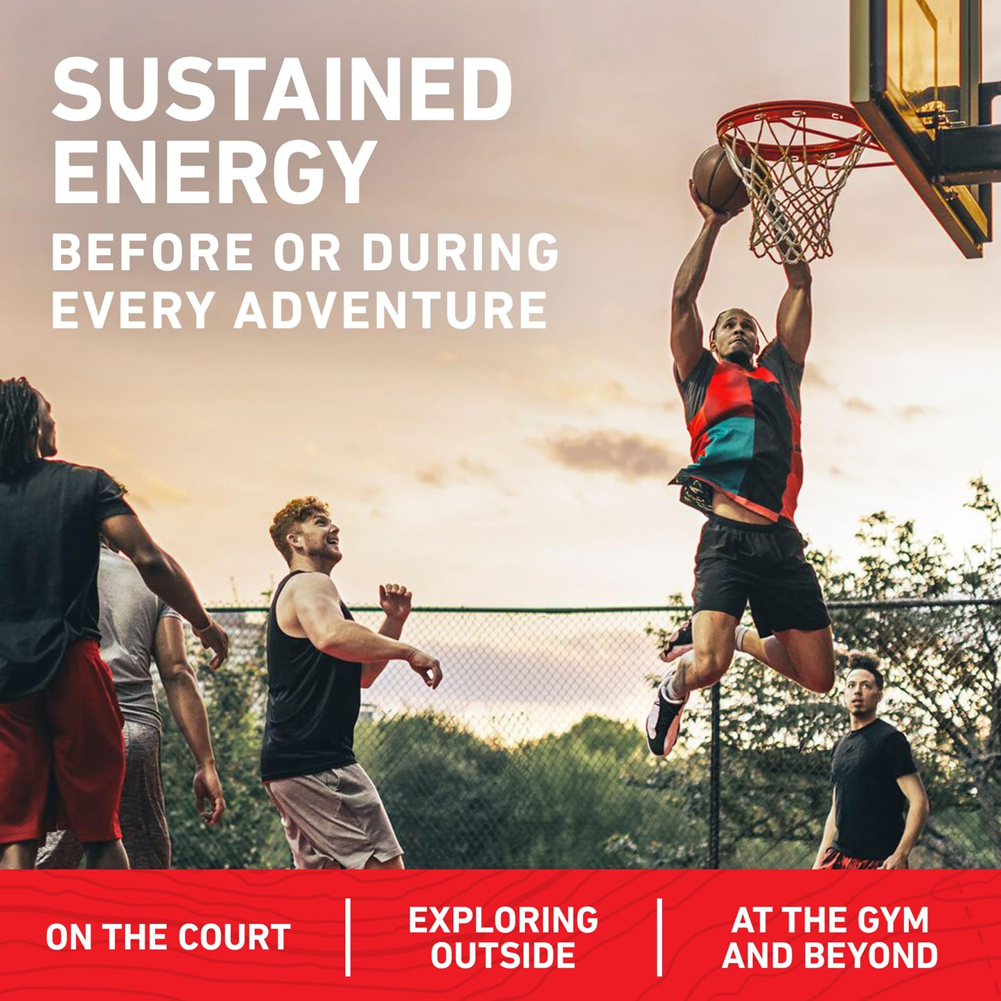 CLIF BAR - Chocolate Brownie Flavor - Made with Organic Oats - Energy Bars - Non-GMO - Plant Based Protein Bars (12 Pack)