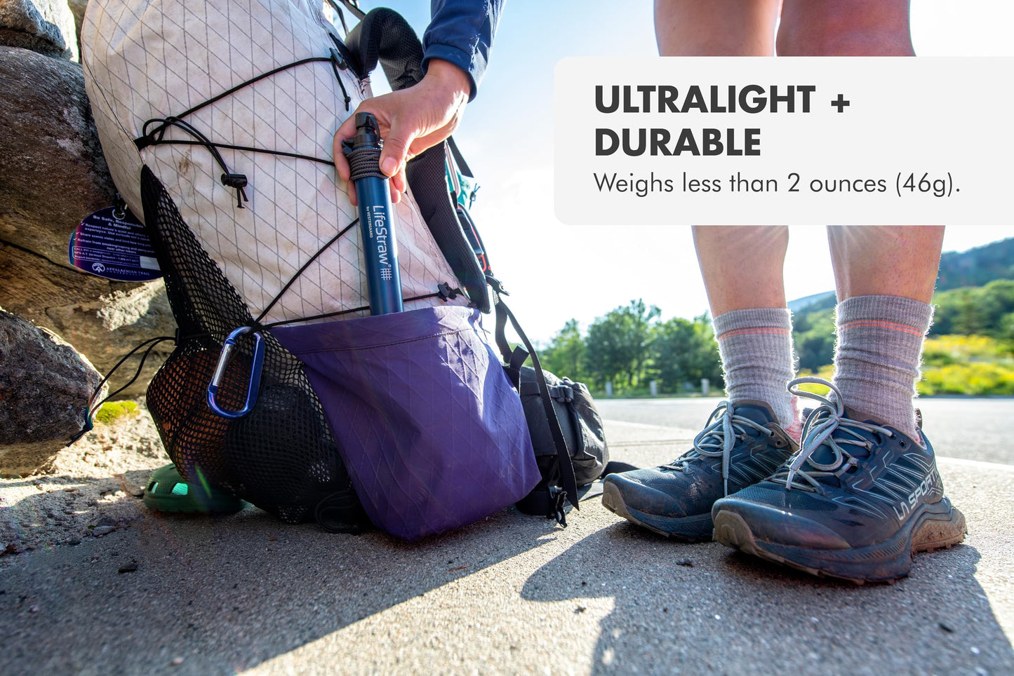 LifeStraw Personal Water Purifier for Hiking, Camping, Travel, and Emergency Preparedness