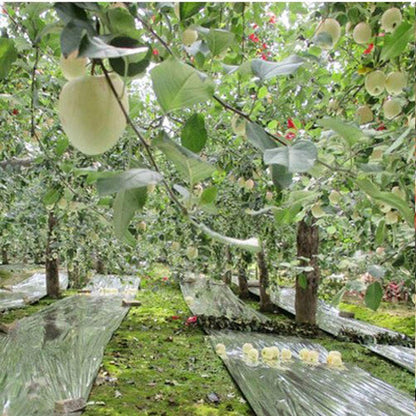 6 Pack High Silver Reflective Mylar Film, Garden Greenhouse Covering F
